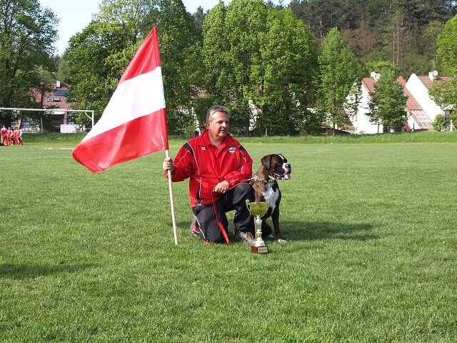 www.atibox.net * www.euroboxer.eu * www.boxergenealogia.eu